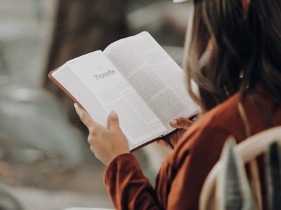 Técnicas de Alto Rendimiento para el Estudio
